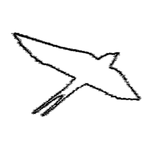 rondinelli